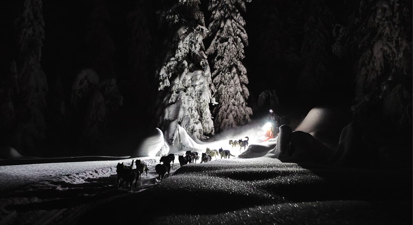 Nansen nome harness 5.0 lifestyle 1