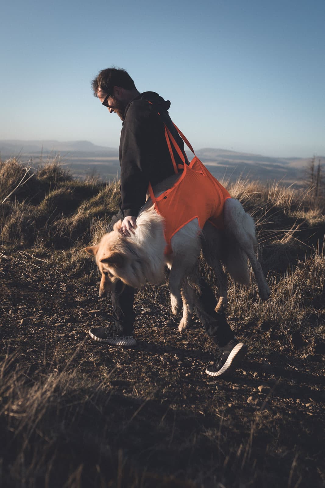 Dog rescue sling -