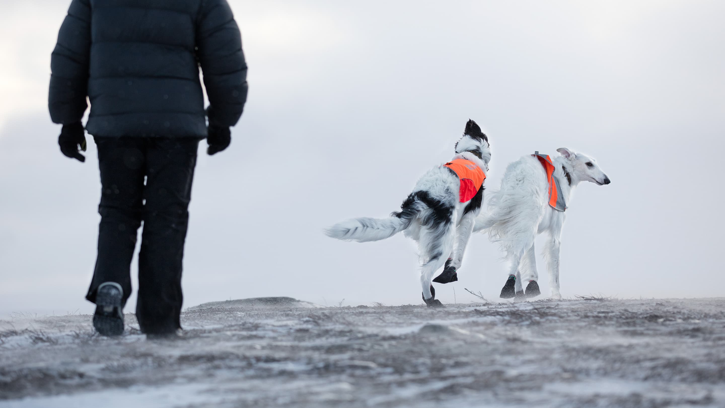 Solid socks lifestyle 1