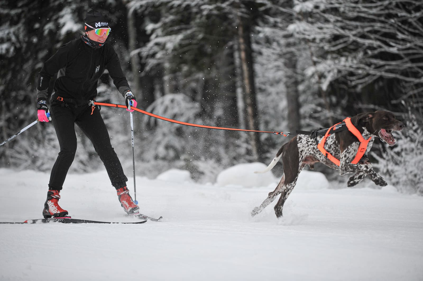 Løype belt pro -