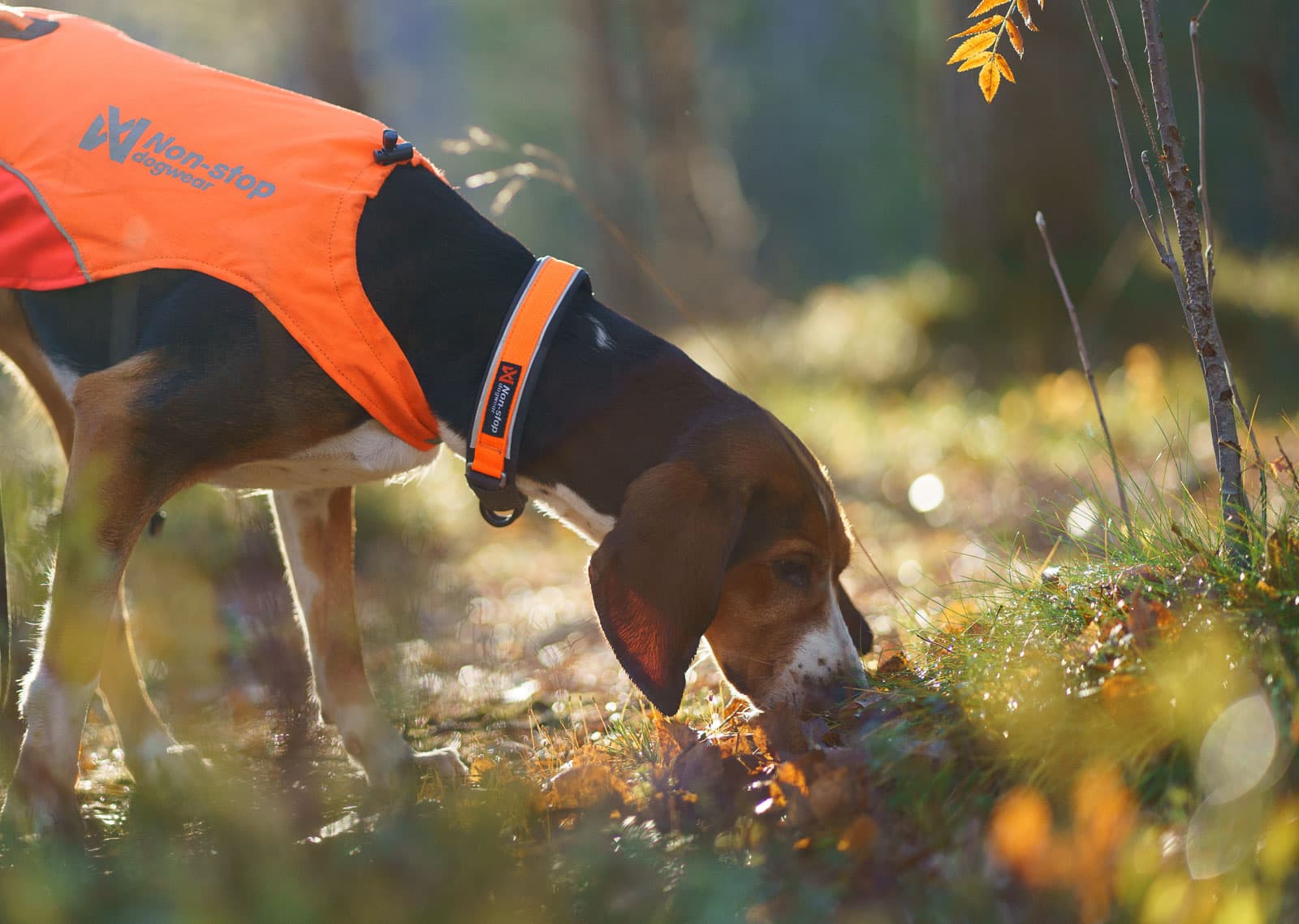 Protector collar -
