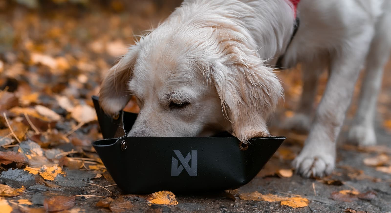 Trekking bowl lifestyle 1
