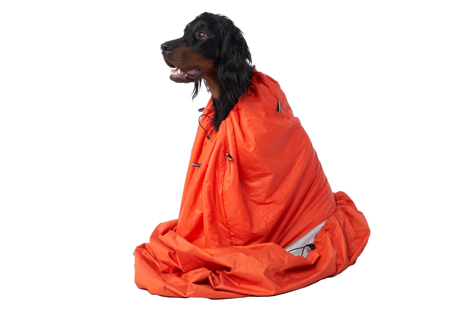Protector bivvy bag -