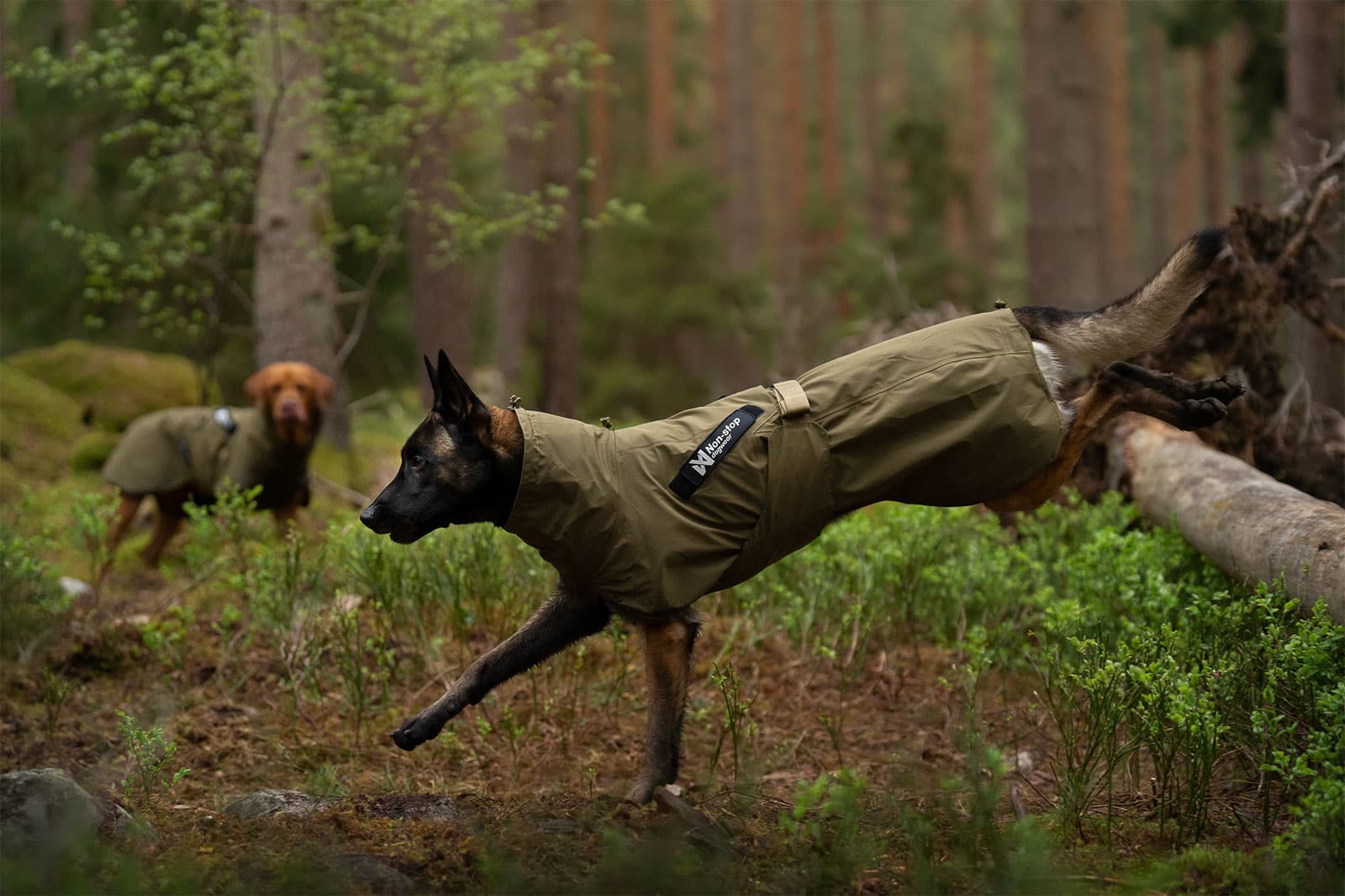 Fjord raincoat WD -