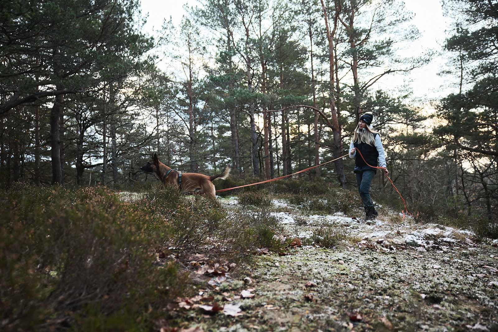 Friction long line -