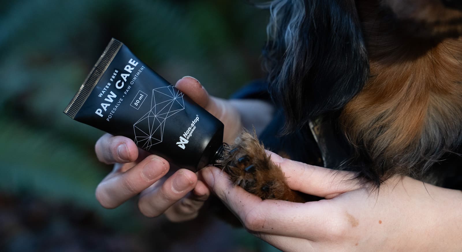 Paw care lifestyle 1