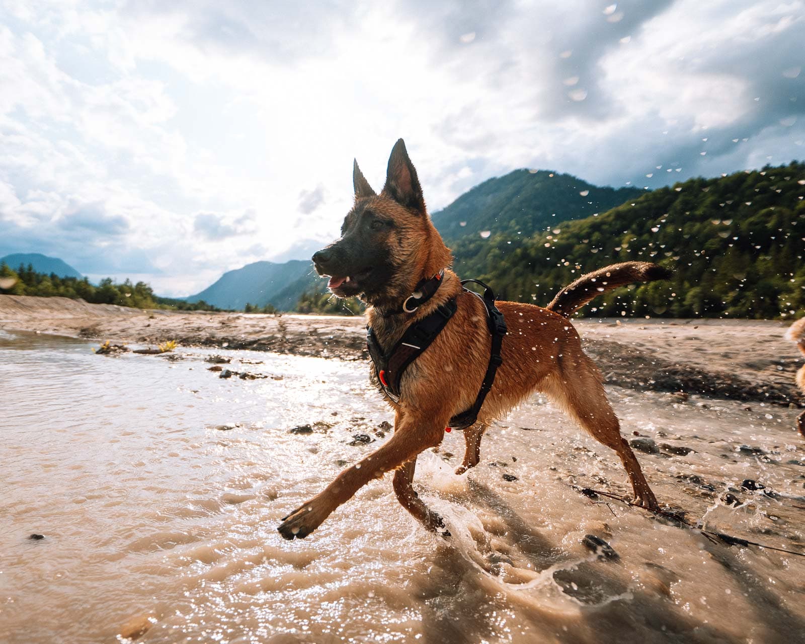 Rock harness -