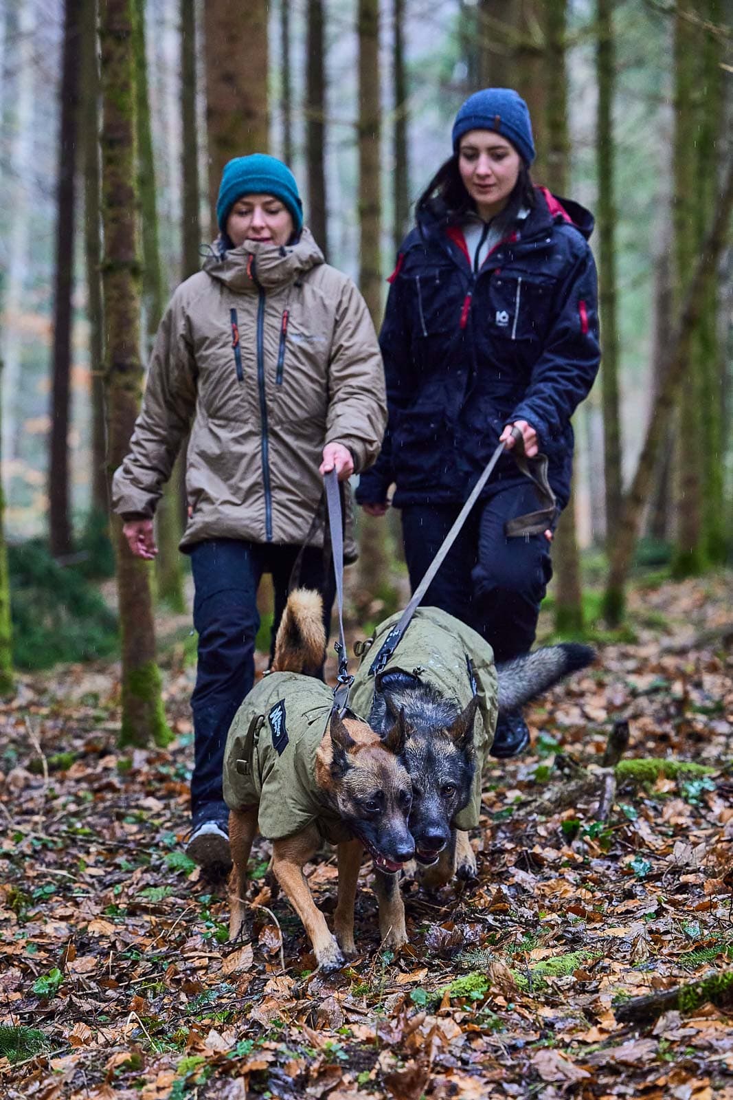 Solid leash WD -