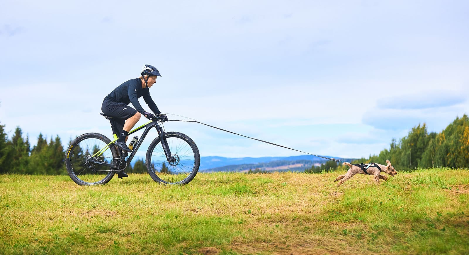 Bike antenna lifestyle 1