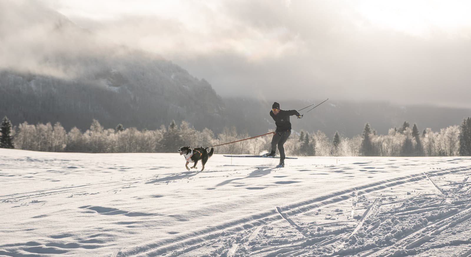 Løype belt pro lifestyle 1