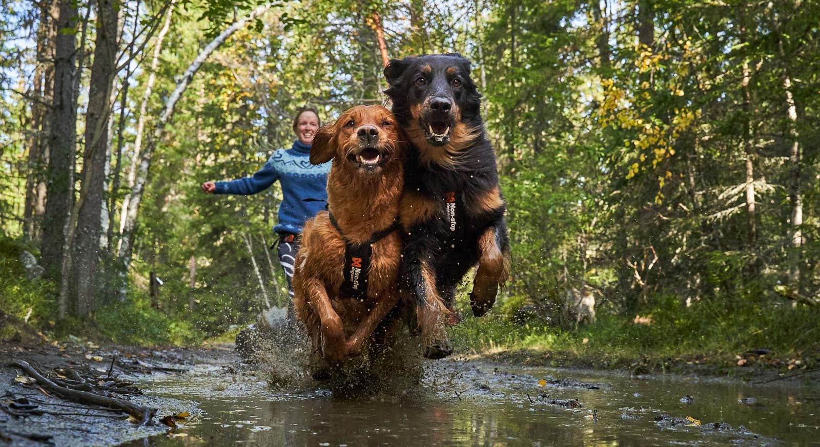 Freemotion harness lifestyle 1