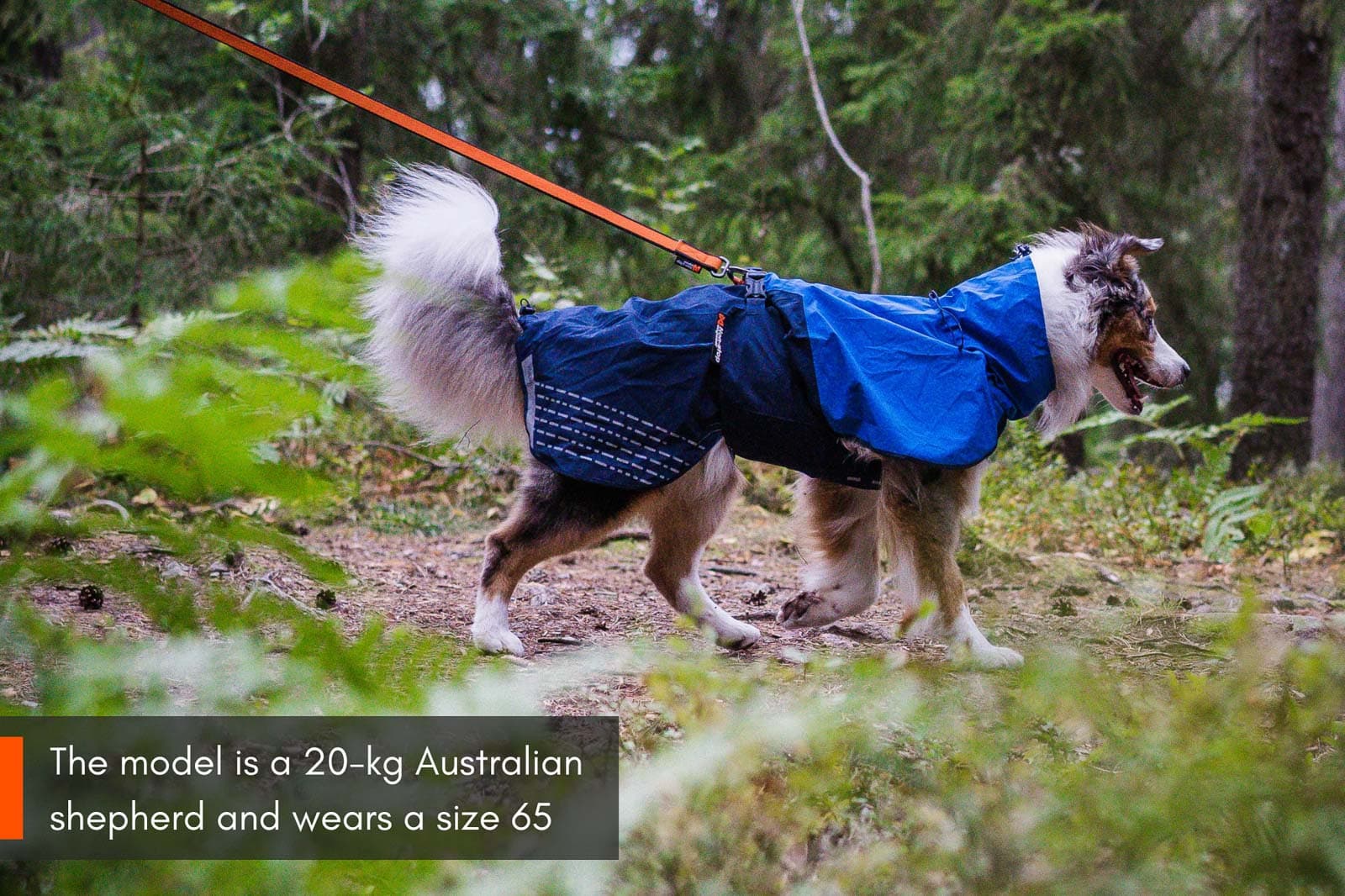 Fjord raincoat -