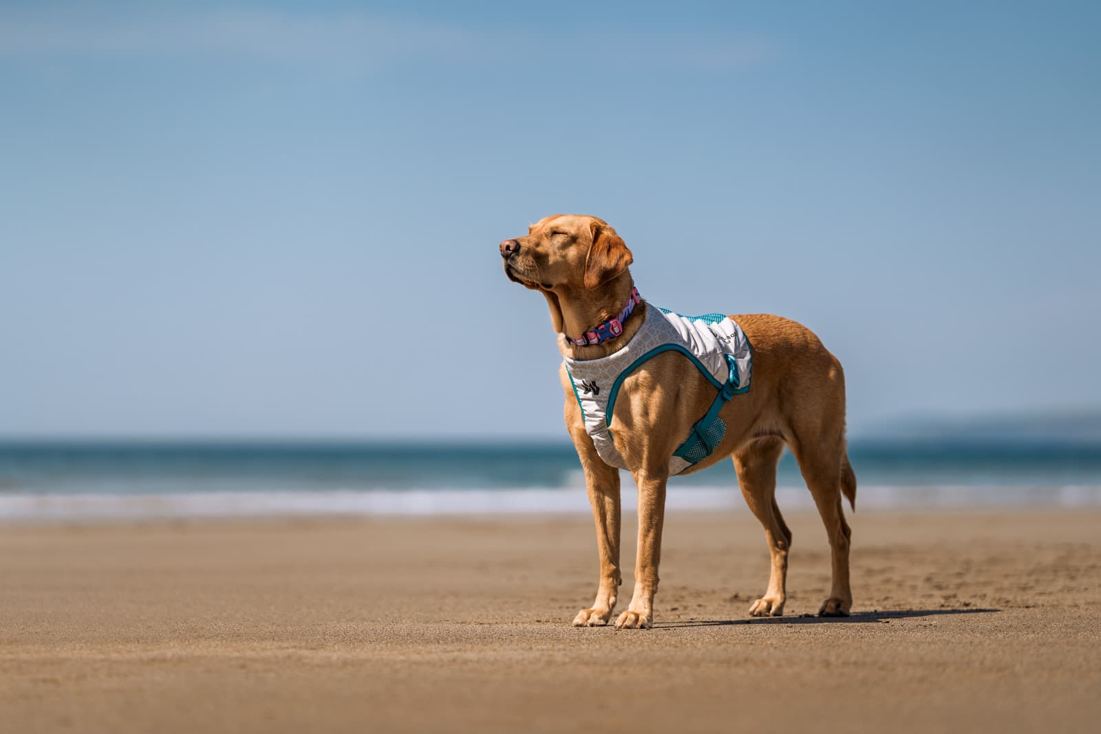 Cooling vest -