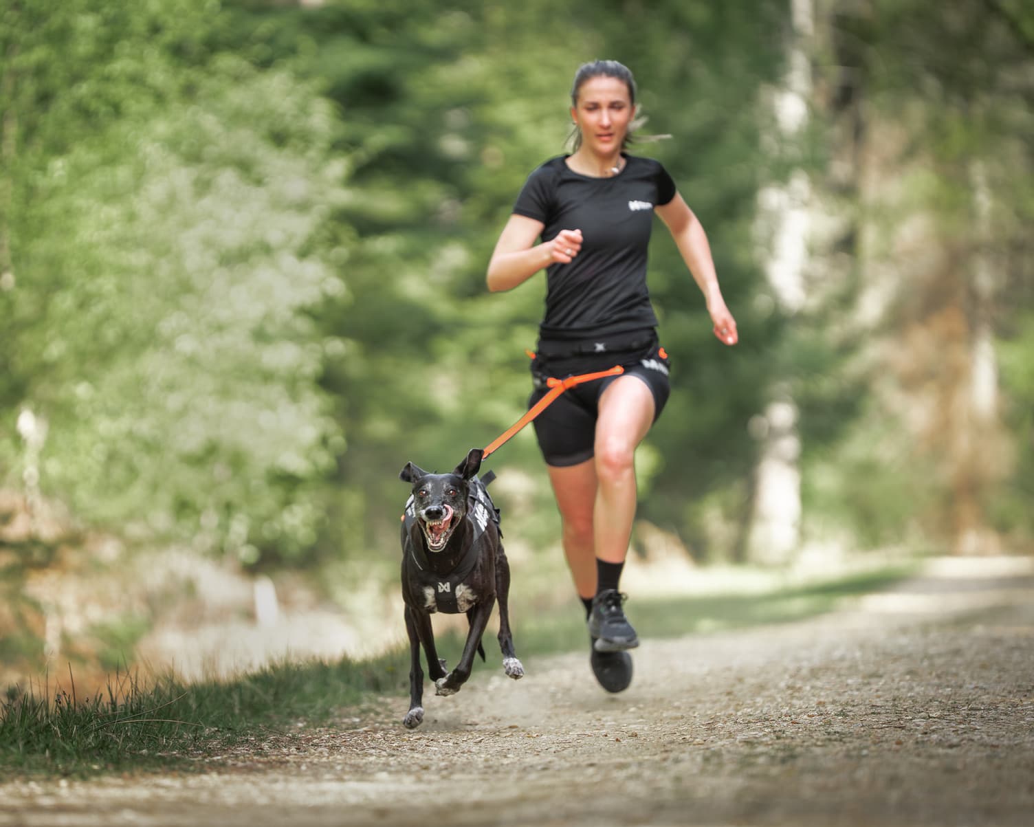 Freemotion harness pro lifestyle 1