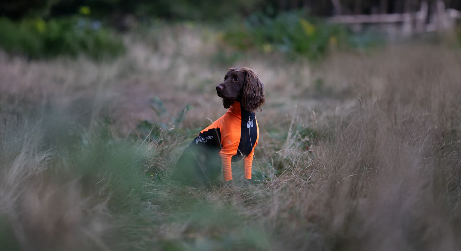 Protector suit M lifestyle 1