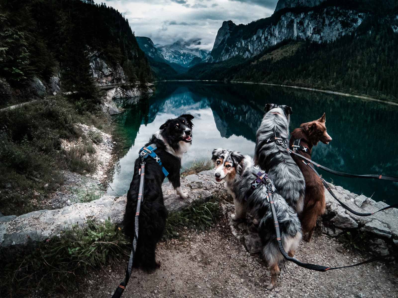 Touring bungee adjustable lifestyle 1